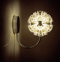 Coral Wall Lamp